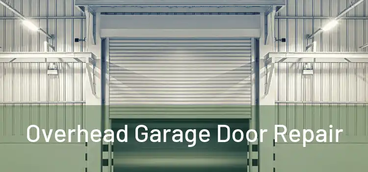  Overhead Garage Door Repair 